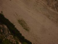 2014-08-02_06FritzPflaum-Steig (359).JPG